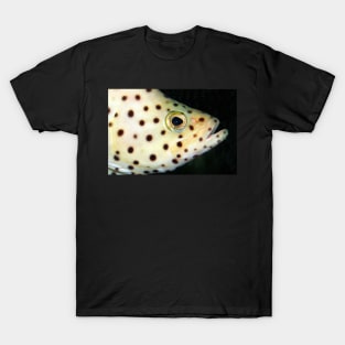 Fish Portrait - Wilf T-Shirt